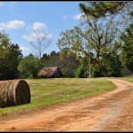 Path to where
