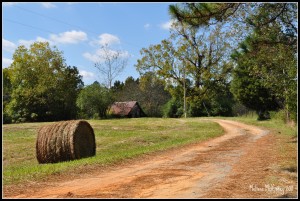 Path to where