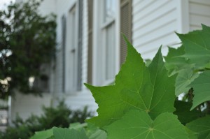 Old House
